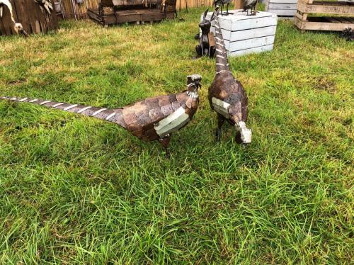 2 x Standing Pheasant  